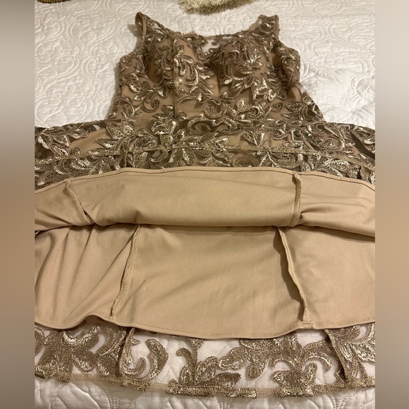 Alex Evenings Mother of the Bride gown champagne sequins 8P - Picture 9 of 11